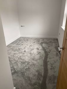 IMG_1555