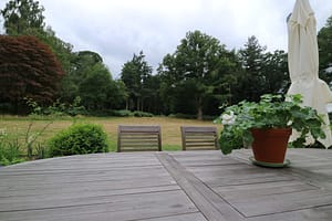 IMG_1986