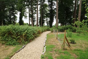 IMG_2006
