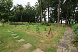 IMG_2007
