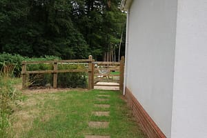 IMG_2010