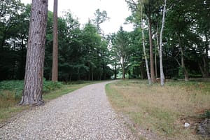 IMG_2034