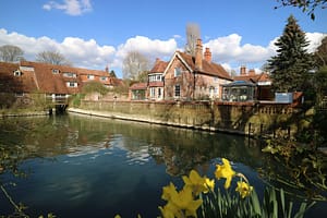 IMG_7701